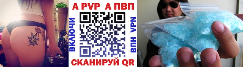 дарнет шоп  Котельнич  блэк спрут как войти  Альфа ПВП СК КРИС 