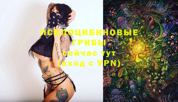 тгк Бронницы