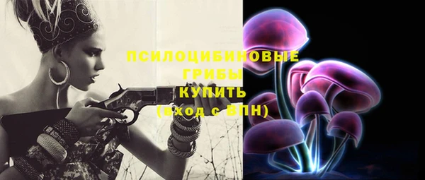 соль ск Тихвин