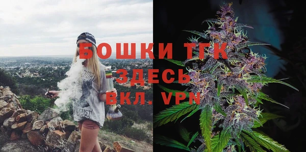 тгк Бронницы
