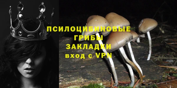 тгк Бронницы